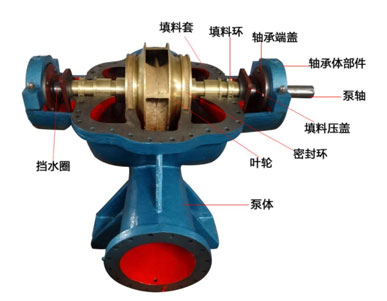 雙吸泵結構圖
