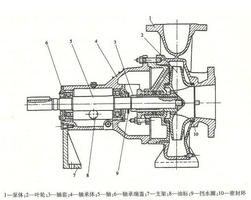 單吸泵結構圖